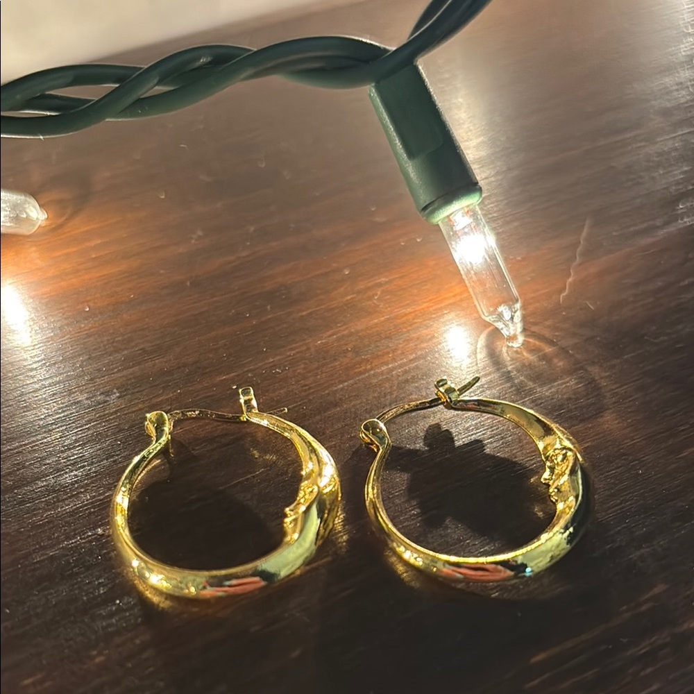 Elegant Gold Hoop Earrings